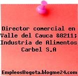 Director comercial en Valle del Cauca &8211; Industria de Alimentos Carbel S.A