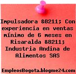 Impulsadora &8211; Con experiencia en ventas mínimo de 6 meses en Risaralda &8211; Industria Andina de Alimentos SAS