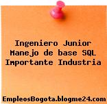 Ingeniero Junior Manejo de base SQL Importante Industria