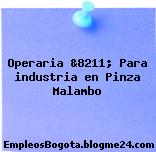 Operaria &8211; Para industria en Pinza Malambo