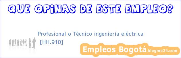 Profesional o Técnico ingeniería eléctrica | [HH.910]
