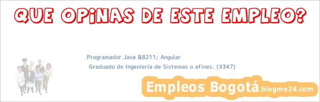 Programador Java &8211; Angular | Graduado de Ingeniería de Sistemas o afines. (X347)