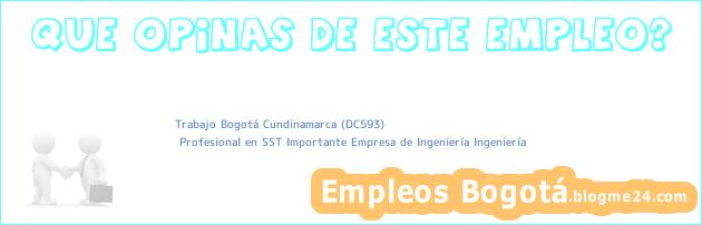 Trabajo Bogotá Cundinamarca (DC593) | Profesional en SST Importante Empresa de Ingeniería Ingeniería