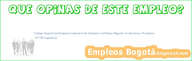 Trabajo Bogotá Cundinamarca Ingenieria de Sistemas o Software Magister en Gerencia o Proyectos | CP.734 Ingeniería