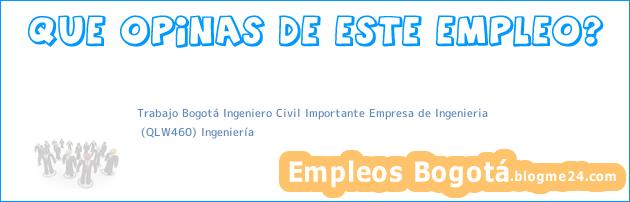 Trabajo Bogotá Ingeniero Civil Importante Empresa de Ingenieria | (QLW460) Ingeniería