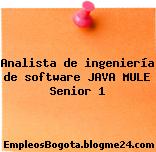 Analista de ingeniería de software JAVA MULE Senior 1