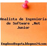 Analista de Ingenieria de Software .Net Junior