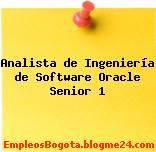 Analista de Ingeniería de Software Oracle Senior 1