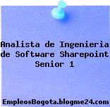 Analista de Ingenieria de Software Sharepoint Senior 1