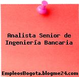 Analista Senior de Ingeniería Bancaria
