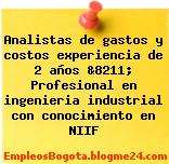 Analistas de gastos y costos experiencia de 2 años &8211; Profesional en ingenieria industrial con conocimiento en NIIF