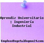 Aprendiz Universitario : Ingeniería Industrial