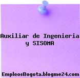 Auxiliar de Ingenieria y SISOMA