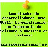 Coordinador de desarrolladores Java &8211; Especialización en Ingenieria de Software o Maestria en sistemas