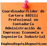 Coordinador/Lider de Cartera &8211; Profesional en Contaduría Administración de Empresas Economía o Ingeniería Industrial