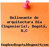 Delineante de arquitectura Dia (Ingeniería), Bogotá, D.C