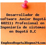 Desarrollador de software Junior Bogotá &8211; Profesional en Ingeniería de sistemas en Bogotá D.C