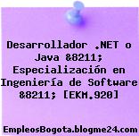 Desarrollador .NET o Java &8211; Especialización en Ingeniería de Software &8211; [EKM.920]