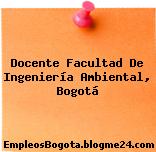 Docente Facultad De Ingeniería Ambiental, Bogotá