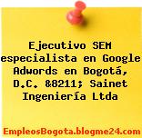 Ejecutivo SEM especialista en Google Adwords en Bogotá, D.C. &8211; Sainet Ingeniería Ltda