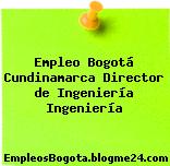 Empleo Bogotá Cundinamarca Director de Ingeniería Ingeniería