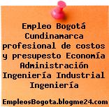 Empleo Bogotá Cundinamarca profesional de costos y presupesto Economía Administración Ingeniería Industrial Ingeniería