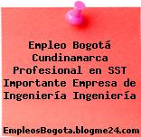 Empleo Bogotá Cundinamarca Profesional en SST Importante Empresa de Ingeniería Ingeniería