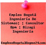 Empleo Bogotá Ingeniería De Sistemas: : Consultor Bpm : Bizagi Ingeniería