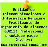 Entidad de Telecomunicaciones e Informática Requiere Practicante de Ingeniería de sistemas &8211; Profesional practicas pagas | (FV.171)