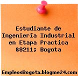 Estudiante de Ingeniería Industrial en Etapa Practica &8211; Bogota