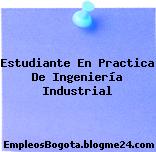Estudiante En Practica De Ingeniería Industrial