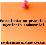 Estudiante en practica Ingeniería Industrial