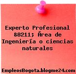 Experto Profesional &8211; Área de Ingeniería o ciencias naturales