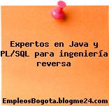 Expertos en Java y PL/SQL para ingeniería reversa