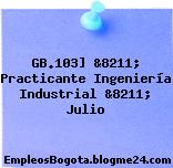 GB.103] &8211; Practicante Ingeniería Industrial &8211; Julio