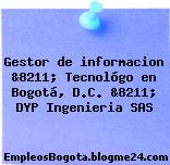 Gestor de informacion &8211; Tecnológo en Bogotá, D.C. &8211; DYP Ingenieria SAS