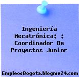 Ingeniería Mecatrónica: : Coordinador De Proyectos Junior
