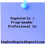 Ingeniería : Programador Profesional Co