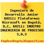 Ingeniero de Desarrollo Junior &8211; Plataformas Microsoft en Bogotá, D.C. &8211; INDEPRO INGENIERIA DE PROCESOS S.A.S