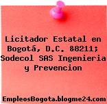 Licitador Estatal en Bogotá, D.C. &8211; Sodecol SAS Ingenieria y Prevencion