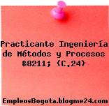 Practicante Ingeniería de Métodos y Procesos &8211; (C.24)