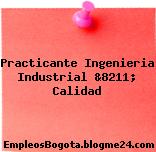 Practicante Ingenieria Industrial &8211; Calidad