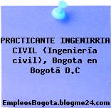 PRACTICANTE INGENIRRIA CIVIL (Ingeniería civil), Bogota en Bogotá D.C