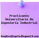 Practicante Universitario De Ingeniería Industrial