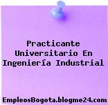 Practicante Universitario En Ingeniería Industrial