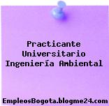 Practicante Universitario Ingeniería Ambiental