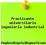 Practicante Universitario Ingenieria Industrial