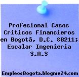 Profesional Casos Criticos Financieros en Bogotá, D.C. &8211; Escalar Ingenieria S.A.S