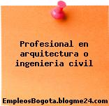 Profesional en arquitectura o ingenieria civil