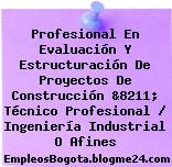 Profesional En Evaluación Y Estructuración De Proyectos De Construcción &8211; Técnico Profesional / Ingeniería Industrial O Afines